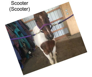 Scooter (Scooter)