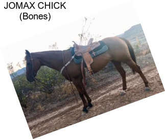 JOMAX CHICK (Bones)