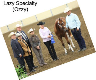 Lazy Specialty (Ozzy)