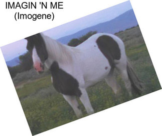 IMAGIN \'N ME (Imogene)