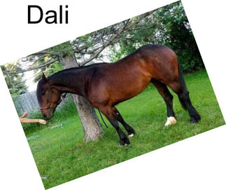 Dali