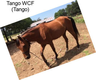 Tango WCF (Tango)