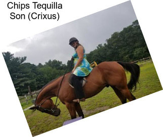 Chips Tequilla Son (Crixus)