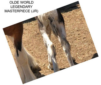 OLDE WORLD LEGENDARY MASTERPIECE (JR)