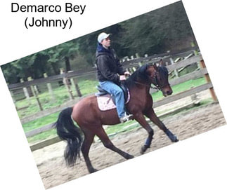 Demarco Bey (Johnny)