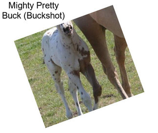 Mighty Pretty Buck (Buckshot)