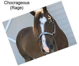 Chocrageous (Rage)