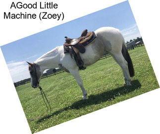 AGood Little Machine (Zoey)