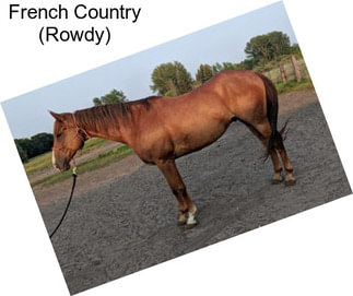 French Country (Rowdy)