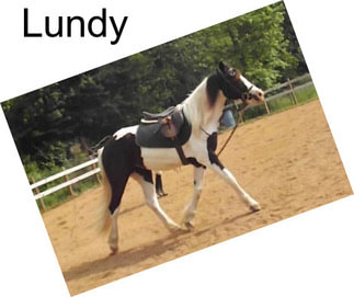 Lundy