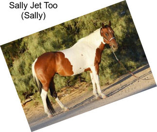 Sally Jet Too (Sally)