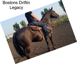 Bostons Driftin Legacy