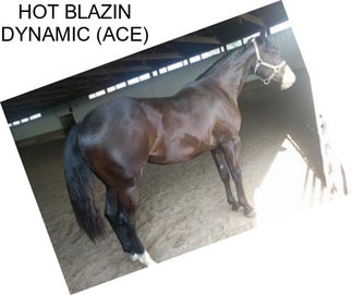 HOT BLAZIN DYNAMIC (ACE)