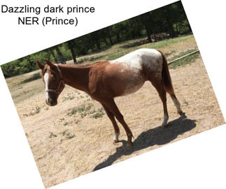 Dazzling dark prince NER (Prince)