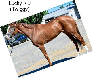 Lucky K J (Twiggy)