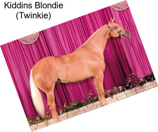 Kiddins Blondie (Twinkie)