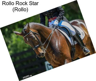 Rollo Rock Star (Rollo)