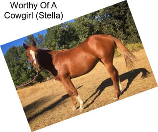 Worthy Of A Cowgirl (Stella)