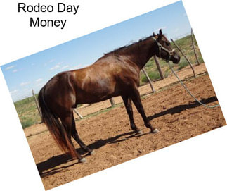 Rodeo Day Money