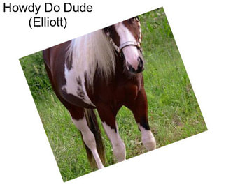 Howdy Do Dude (Elliott)