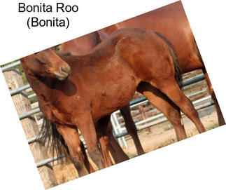 Bonita Roo (Bonita)