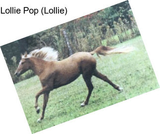 Lollie Pop (Lollie)