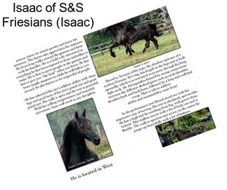 Isaac of S&S Friesians (Isaac)