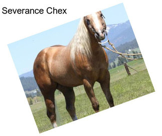 Severance Chex