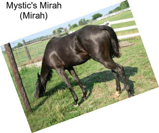 Mystic\'s Mirah (Mirah)