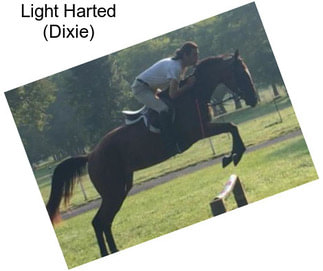 Light Harted (Dixie)