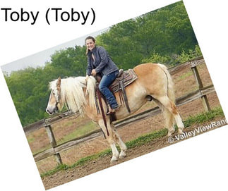 Toby (Toby)