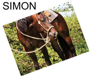 SIMON