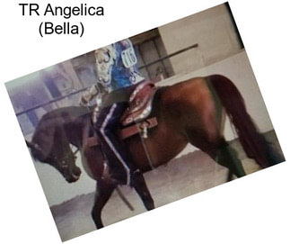 TR Angelica (Bella)