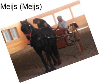 Meijs (Meijs)