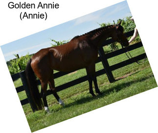Golden Annie (Annie)