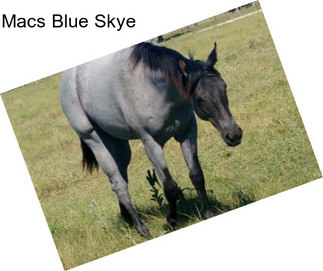 Macs Blue Skye