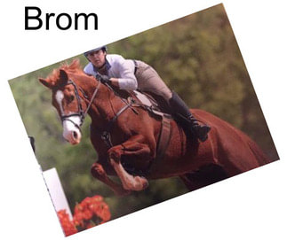 Brom