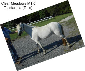 Clear Meadows MTK Tesstarosa (Tess)