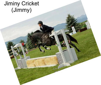 Jiminy Cricket (Jimmy)