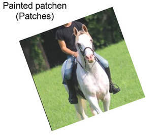 Painted patchen (Patches)