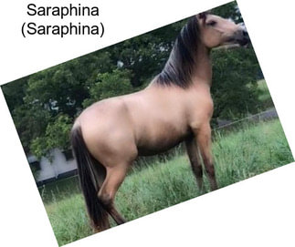 Saraphina (Saraphina)