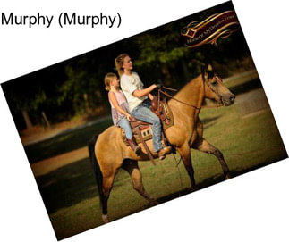Murphy (Murphy)