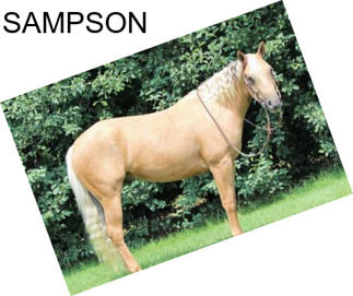 SAMPSON