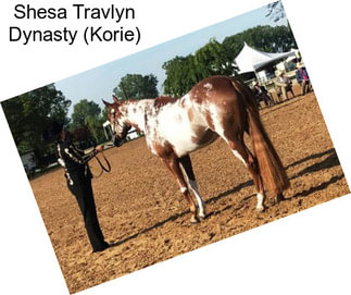 Shesa Travlyn Dynasty (Korie)