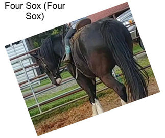Four Sox (Four Sox)