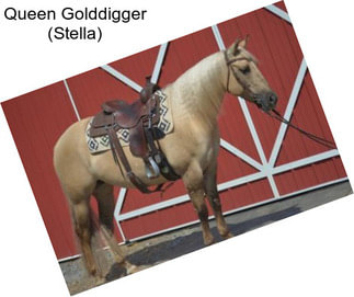 Queen Golddigger (Stella)