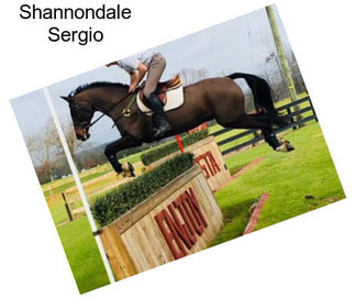 Shannondale Sergio