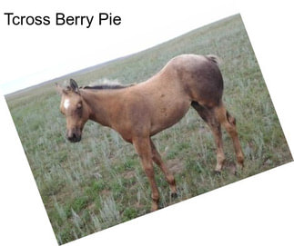 Tcross Berry Pie