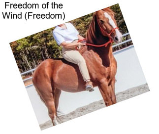 Freedom of the Wind (Freedom)