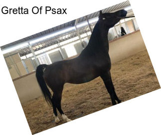 Gretta Of Psax